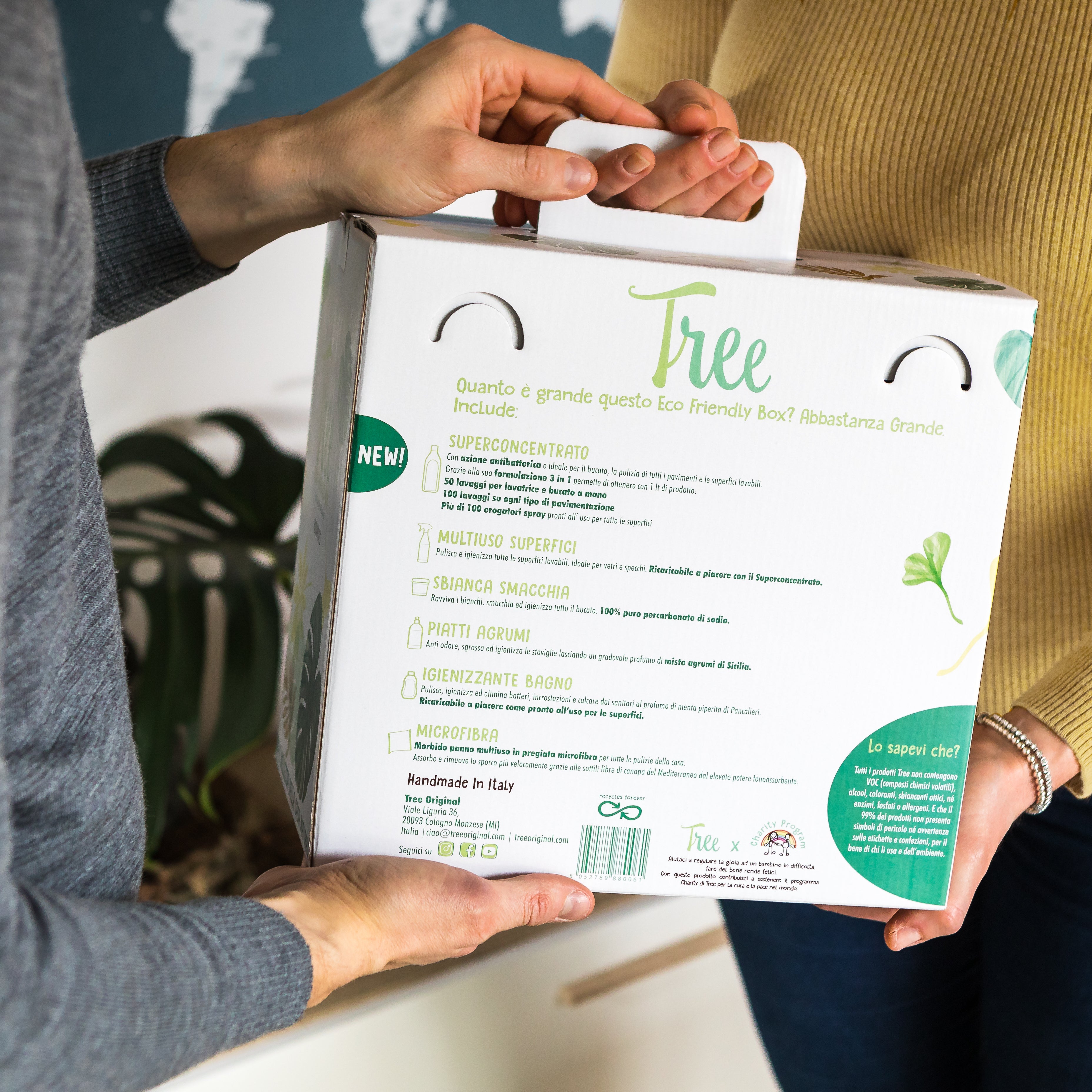 A Tree Box Tree Box – Tree Original